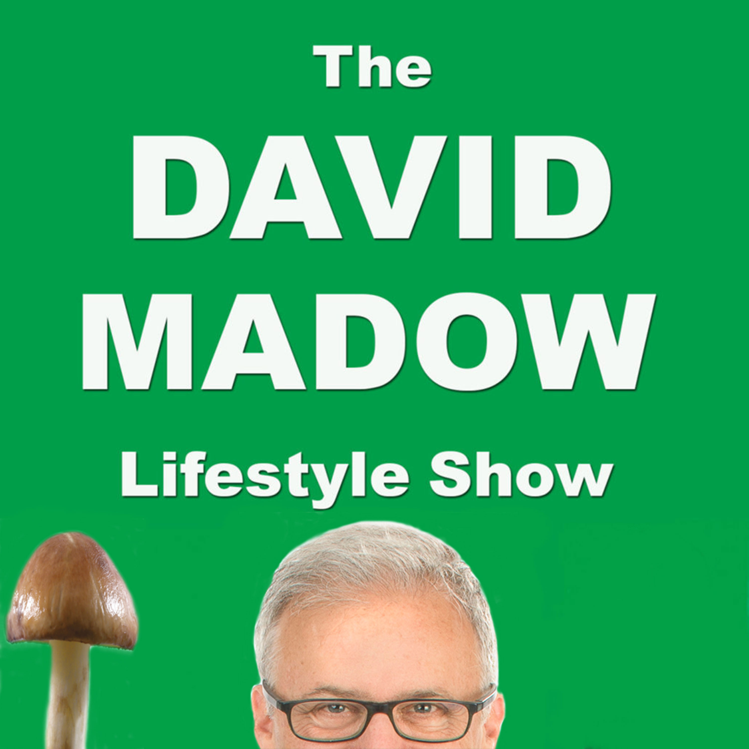 The David Madow Lifestyle Show - Microdosing | Self Help | Health | Psilocybin